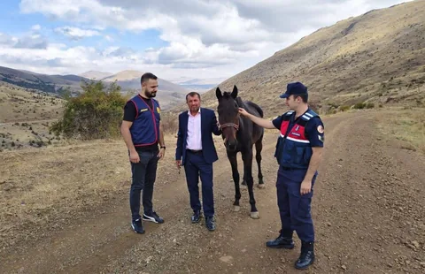 Sarız’da hırsızlık olayı: Çalınan yarış atı bulundu — haber görseli
