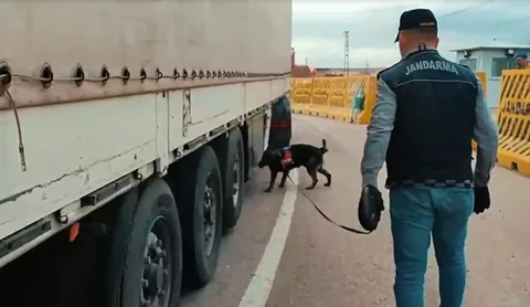 Yol Kontrolünde Şok! Tırdan Kaçak Sigara Çıktı — haber görseli