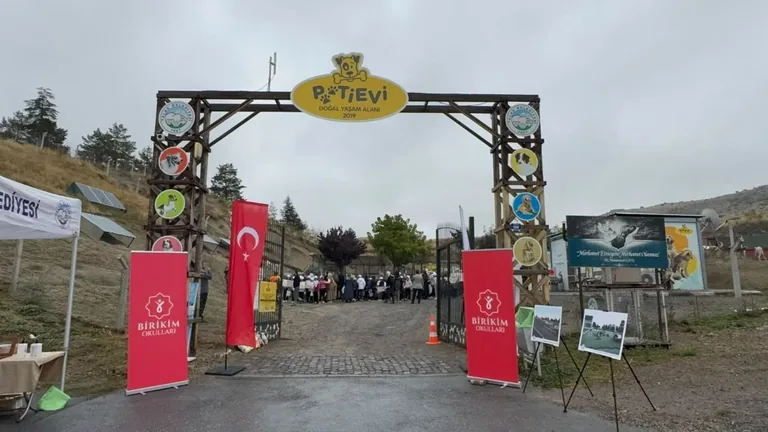 Hayvanları Koruma Günü Talas Pati Evi’nde kutlandı — haber görseli