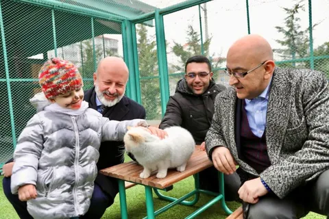 Kocasinan'da Kedi Temalı Fotograf Yarışmasında Kazananlar Ödüllerini Aldı — haber görseli