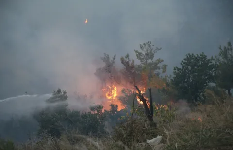 Hatay Arsuz'da orman yangını — haber görseli