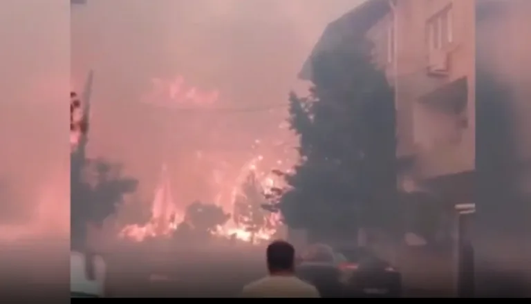 İzmir'de orman yangını! Alevler yerleşim yerlerine kadar yaklaştı — haber görseli