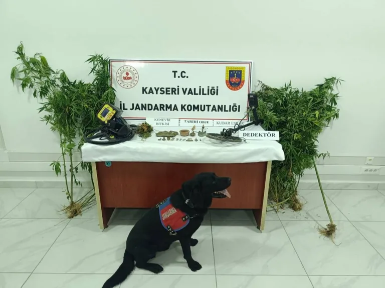 Kayseri Jandarmadan Uyuşturucu ve Tarihi Eser Operasyonu — haber görseli