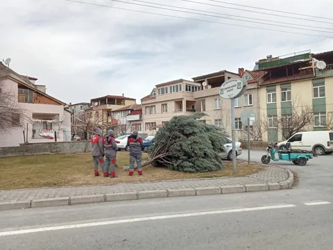 KAYSERİ'DE ŞİDDETLİ FIRTINA DEHŞETİ: DEV AĞAÇ KÖKÜNDEN SÖKÜLDÜ! — haber görseli