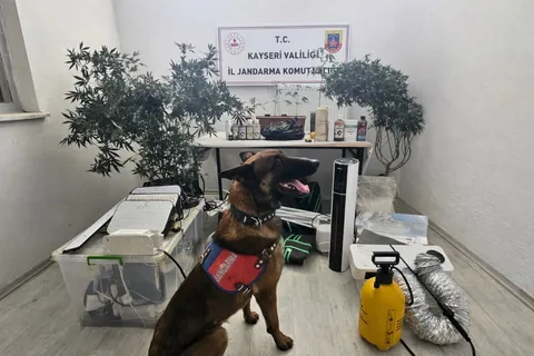 Kayseri’de Jandarmadan Zehir Tacirine Operasyon: M.K. Kıskıvrak Yakalandı — haber görseli