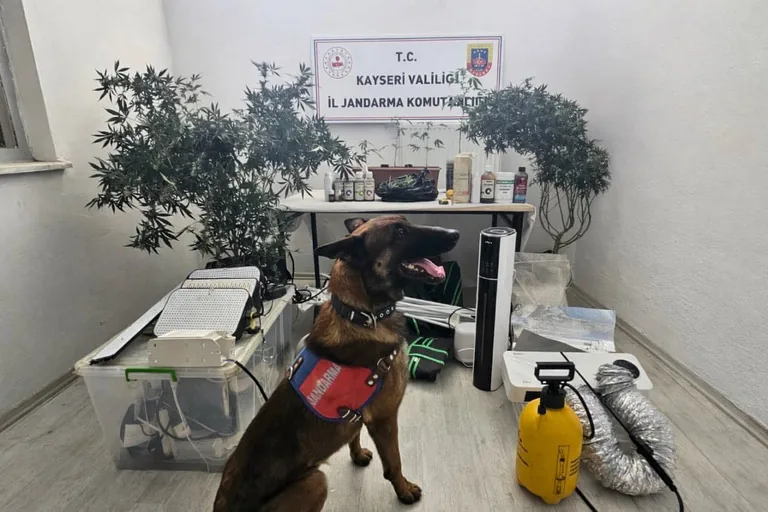 Kayseri’de Jandarmadan Zehir Tacirine Operasyon: M.K. Kıskıvrak Yakalandı — haber görseli