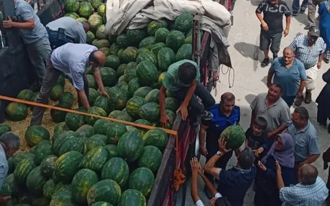 'Olan Var, Olmayan Var' Dedi, 27 Ton Karpuzu Dağıttı! Tokat'ta Ücretsiz Karpuz İzdihamı — haber görseli