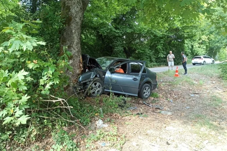 Karabük Yolunda Ağaca Çarpan Otomobilde 1 Kişi Öldü, 3 Yaralı — haber görseli