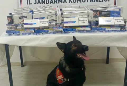 Kaçak Sigara Operasyonu! Kayseri’de Tırda 1120 Paket Kaçak Sigara Ele Geçirildi — haber görseli