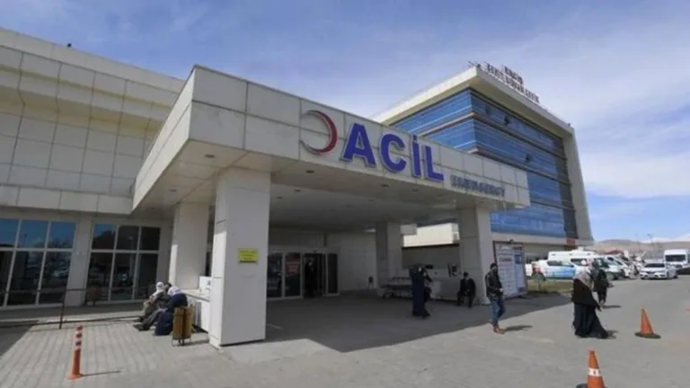 Van'da Husumetli İki Aile Arasında Taşlı Sopalı Kavga: 15 Yaralı! — haber görseli
