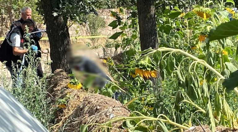 Talas'ta Sokak Ortasında Kanlı İnfaz! Mustafa Demir, Evinin Bahçesinde Vurularak Öldürüldü — haber görseli