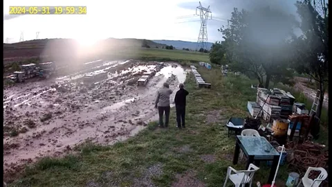 170 Kovan arı, yağışta telef oldu — haber görseli
