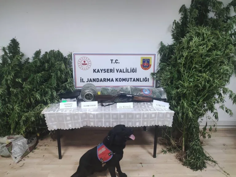 Kayseri Jandarma Uyuşturucu Tacirlerine Göz Açtırmıyor! Nefes Kesen Operasyon — haber görseli