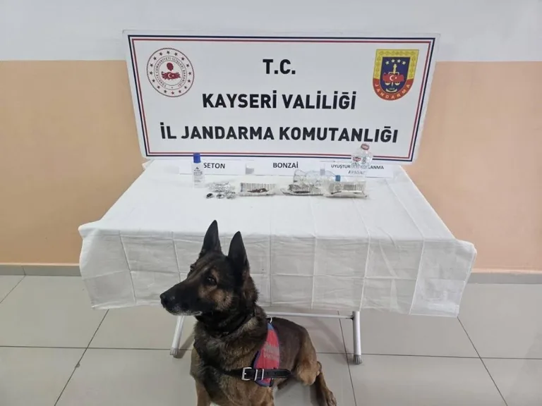 Tomarza’da Zehir Tacirlerine Darbe: Operasyonda Yakalanan 13 Şüphelinin 12'si Tutuklandı! — haber görseli