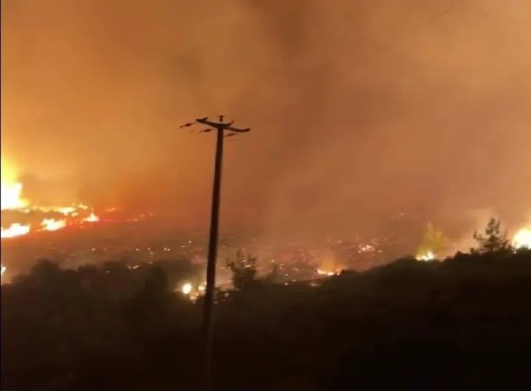 Sondakika! Muğla Milas'ta Orman Yangını — haber görseli