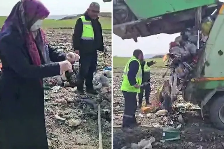 Lahanaya Saklanan Altın Çöpten Çıktı: Dikkatsiz Çocuklar Serveti Attı, İşçiler Buldu — haber görseli