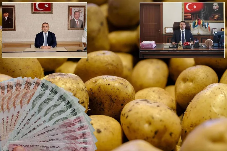 Bismil'de 400 Ton Patates Soruşturması! Müdür tutuklandı, kaymakam ve başsavcının görev yeri değişti — haber görseli