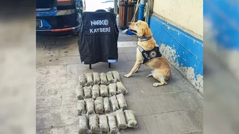 Kayseri'de Uyuşturucu operasyonu: 12 kilo 600 gram uyuşturucu el geçirildi — haber görseli