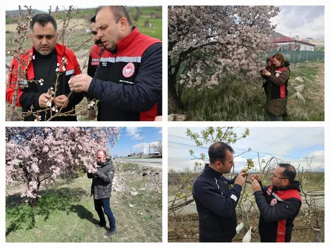 Kayseri'de Zirai don sonrası kontroller tamamlandı: Olumsuzluk yok — haber görseli