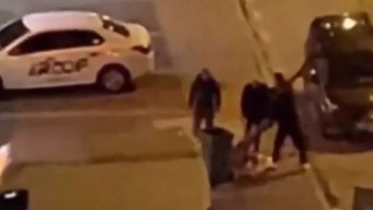 Kaldırımda Bulunan Ağaca Zarar Veren 4 Kişi Hakkında Adli İşlem Başlatıldı — haber görseli