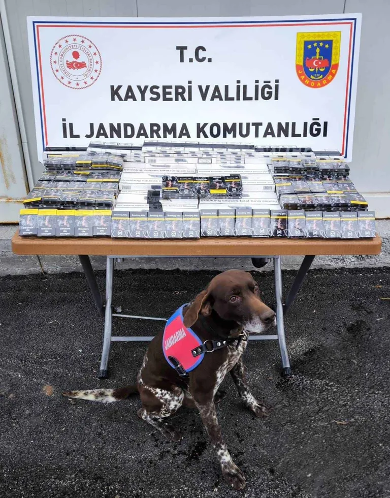 Kayseri–Malatya yolunda Tırda Yapılan Aramada Kaçak Sigara Ele Geçirildi — haber görseli