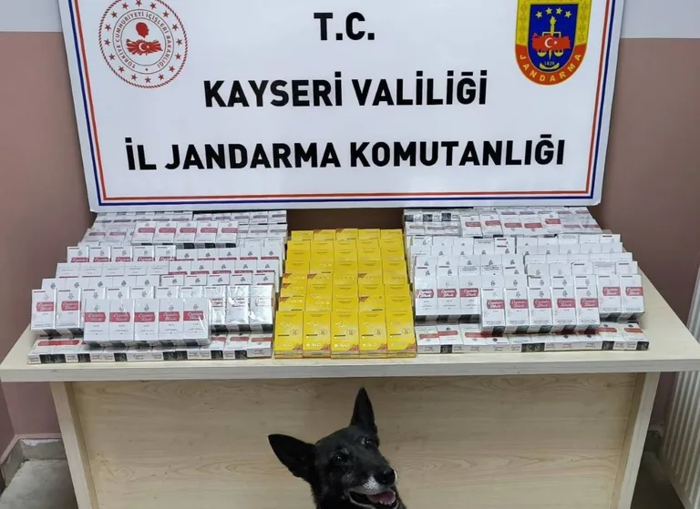 Kayseri-Malatya yolunda tırda 630 paket kaçak sigara ele geçirildi — haber görseli