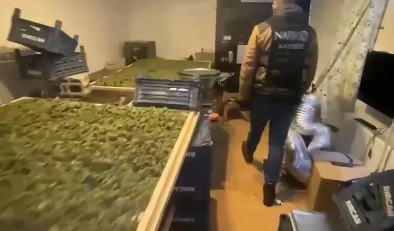 Kayseri Develi’de Dev Operasyon: 104 Kilo Uyuşturucu Ele Geçirildi — haber görseli