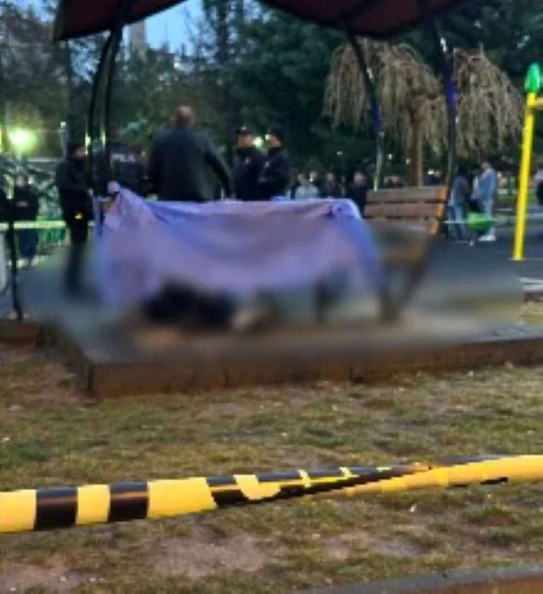 Kayseri Değil Sanki Teksas! 17 Yaşındaki Genç, Parkta Öldürüldü — haber görseli