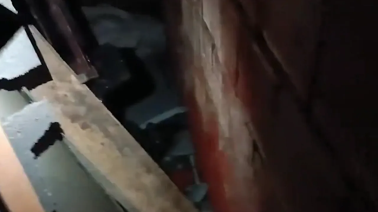 Kesinleşmiş Hapis Cezası İle Aranan Firari Kadın, Bakın Nerede Yakalandı — haber görseli
