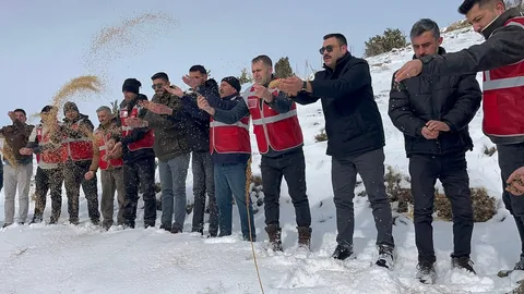 Kar Altındaki Doğa İçin Seferberlik: MHP Pınarbaşı teşkilatı, yaban hayvanları için doğaya yem bıraktı — haber görseli