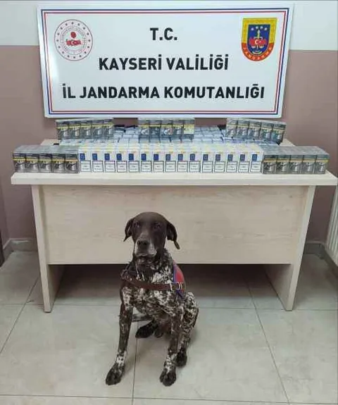 Kayseri’de Yol Kontrolünde 640 Paket Bandrolsüz Sigara Ele Geçirildi — haber görseli