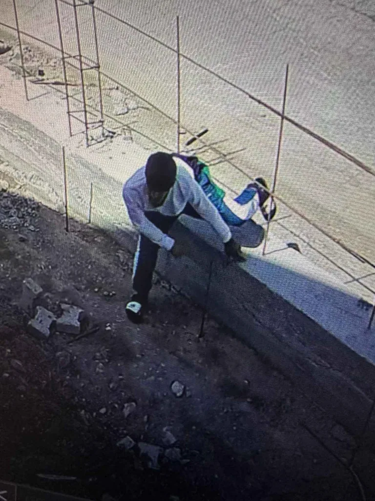 Güpe Gündüz Testere Hırsızlığı Kameralara Yansıdı — haber görseli