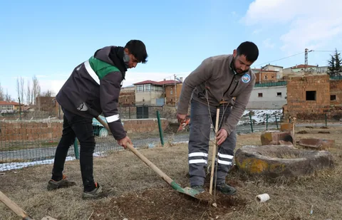 TALAS BELEDİYESİ KIRSAL MAHALLELERDE AĞAÇLANDIRMA SEFERBERLİĞİ BAŞLATTI — haber görseli