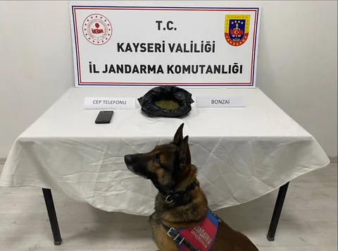 TALAS ANAYURT'TA ZEHİR OPERASYONU! Yarım Kilo Bonzai Ele Geçirildi — haber görseli