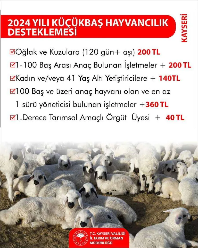 Tarım ve Orman Bakanlığı’ndan Kayseri’de hayvancılığa destek — haber görseli
