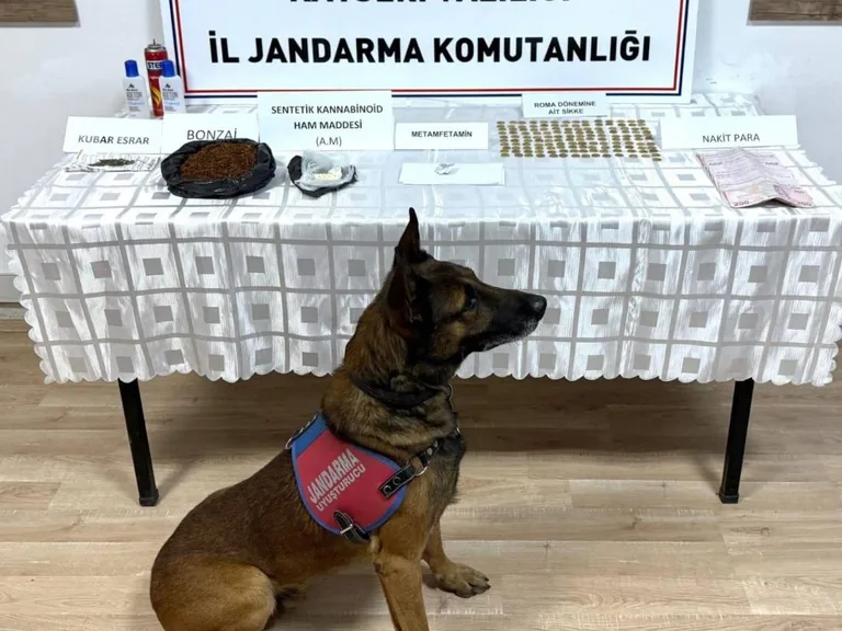 Zümrüt Mahallesi'ne Baskın! Bahçede Gömülü Uyuşturucu ve Tarihi Eserler Bulundu — haber görseli