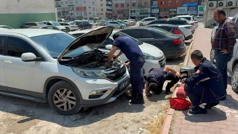 Otomobilin Motoruna Sıkışan Kedi Kayseri Büyükşehir İtfaiye Ekipleri Tarafından Kurtarıldı — haber görseli