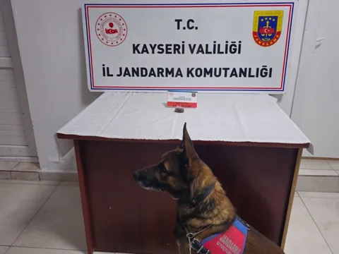 GESİ' de Yol Kontrolünde Durdurulan Araçtan Bonzai Çıktı — haber görseli