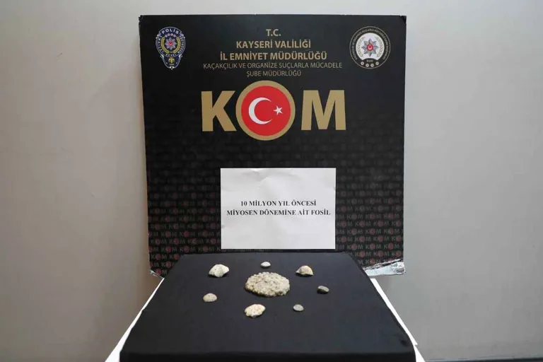 Kayseri'de 10 Milyon Yıl Öncesine Ait 8 Parça Tarihi Eser Ele Geçirildi: 1 Gözaltı — haber görseli