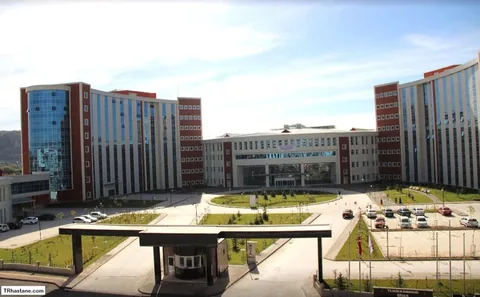 Sivas'ta Sobadan Sızan Gaz Can Aldı — haber görseli