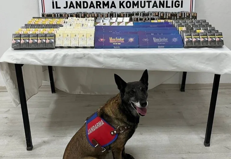 Kayseri’de Jandarmadan Kaçak Sigara Operasyonu! — haber görseli