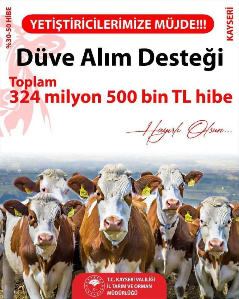Başkan Büyükkılıç Duyurdu! Hayvan Yetiştiricilerine 324 Milyon TL Hibe Desteği — haber görseli