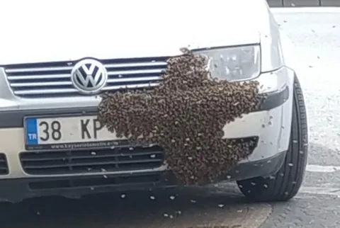 Enteresan Olay Görenleri Hayrete Düşürdü! Arı Bir Otomobile Oğul Verdi — haber görseli