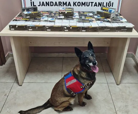 Pınarbaşı'da Yol Kontrolü... Otobüste 10 Bin Kaçak Makaron Yakalandı — haber görseli