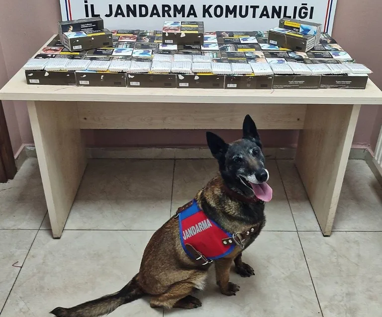 Pınarbaşı'da Yol Kontrolü... Otobüste 10 Bin Kaçak Makaron Yakalandı — haber görseli