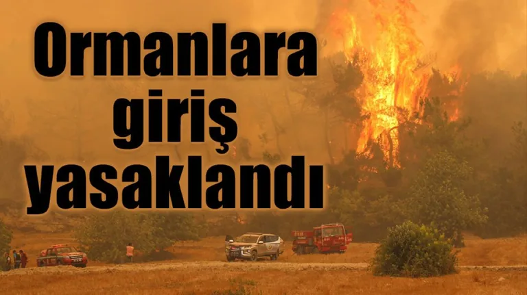 Yangın riski taşıyan 27 İlde ormanlara girişler yasaklandı! — haber görseli