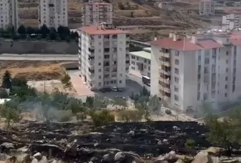 Osmanlı Mahallesi’nde anız yangını — haber görseli