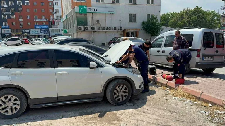 Otomobilin Motoruna Sıkışan Kedi Kayseri Büyükşehir İtfaiye Ekipleri Tarafından Kurtarıldı — haber görseli