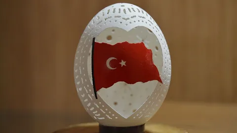 Aydan Yıldırım İle Türkiye'nin İlk ve Tek Yumurta Müzesini Keşfedin — haber görseli