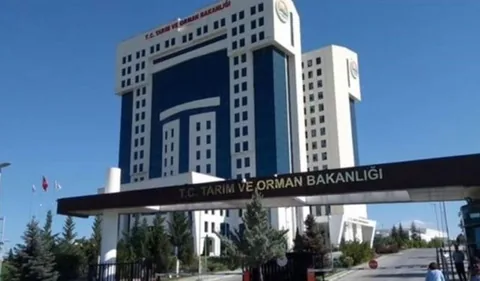Kayseri'de HİSAR ÇİKOLATA ve GÜLDÜOĞLU Dahil 26 Firmanın Taklit ve Hileli Ürün Yaptığı Tespit Edildi — haber görseli